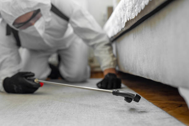 Professional Pest Control technician working in Stevensville, MT
