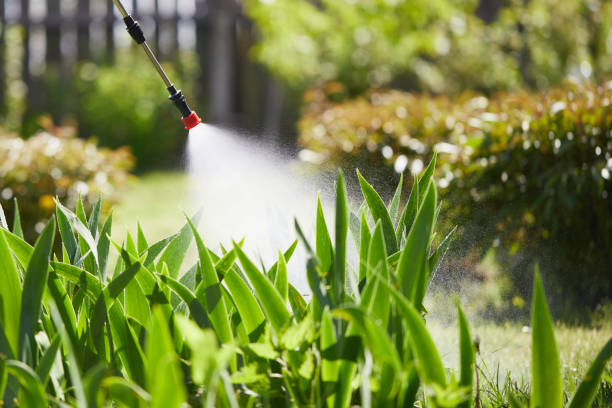 24/7 Emergency Pest Control experts in Stevensville, MT